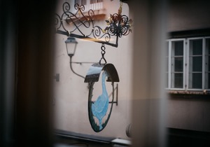 Arthotel Blaue Gans