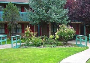 Best Western Pine Springs Inn