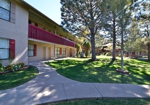 Best Western Pine Springs Inn