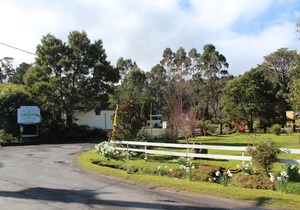 Zeehan Bush Camp