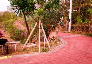 Pier26 Bali Homestay