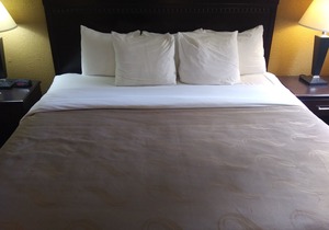 Quality Inn & Suites Fairgrounds