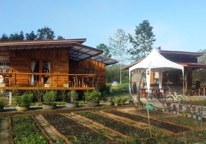Bansuanphutarn