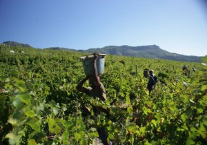 Boschendal Farm Estate