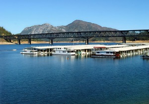 Best Western Plus Tree House