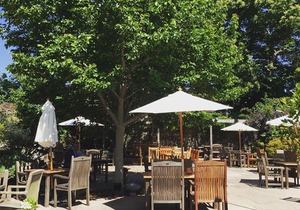 The Angel Inn, Petworth