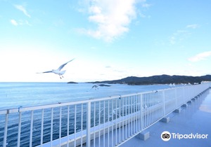 Minamisanriku Hotel Kanyo