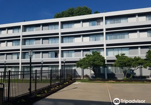 Best Western Plus University Inn