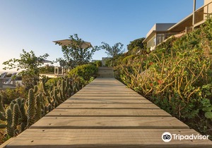 Watercolours Studios