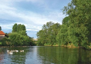 3 bedroom accommodation in Stamford Bridge, York