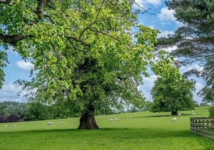 3 bedroom accommodation in Gisburn, Yorkshire Dales