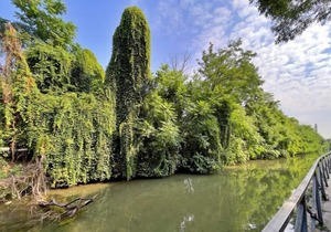 Enchanting Apartment on the Naviglio della Martesana