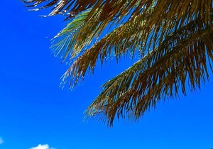Apartment in a Magnificent Villa in Deshaies, Guadeloupe with Sea View