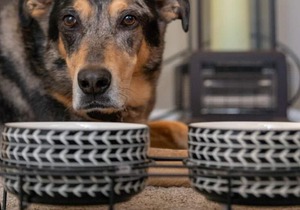 Country Living in Cozy Luxury...Welcome long term renters and furry friends