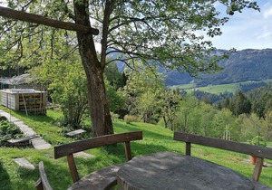 No. 6 double / triple room with shower - Sommerau, Krallinger