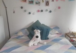 Nice apartment in Leuven