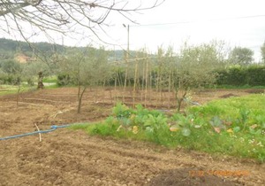 Quinta dos Templários