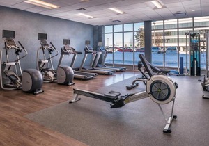 Holiday Inn Detroit Northwest - Livonia