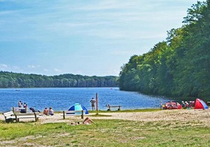 Waldsiedlung Waldhaus App 4.2