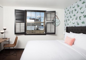 Black Swan - Sobro Nashville