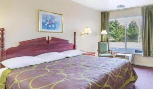 Suite, 1 Bedroom, Accessible