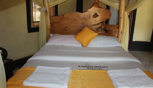 Luxury Double or Twin Room