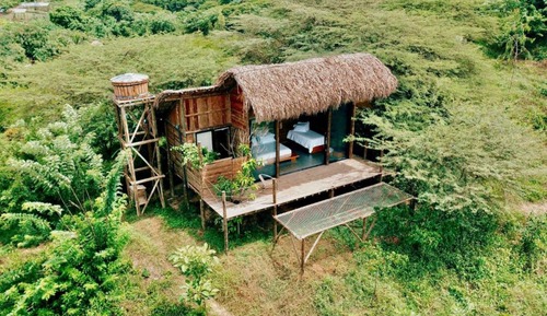 Grand Tree House