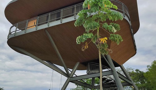 Treetop Suite with Pool view