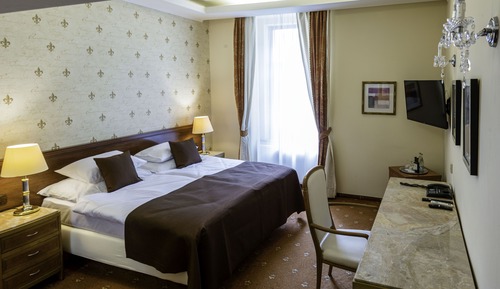 Superior Double or Twin Room