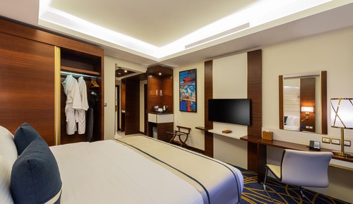 Standard Double Room Single Use