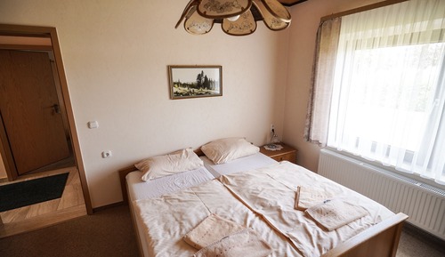 Basic Double Room
