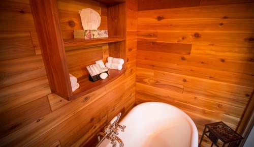 Peyto Cabin