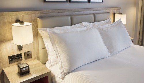 Room, 1 King Bed, Accessible (Pitch View)