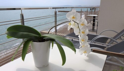 Superior Double Room, Sea View
