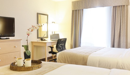 Standard Double Room, Multiple Beds