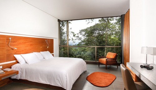Luxury Double or Twin Room