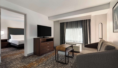 Suite, 1 King Bed with Sofa bed (Hearing Accessible)