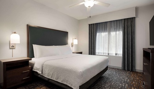 Suite, 1 King Bed with Sofa bed