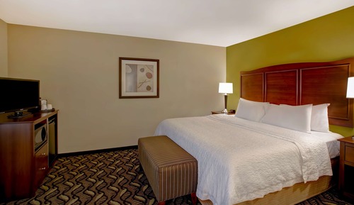 Room, 1 King Bed