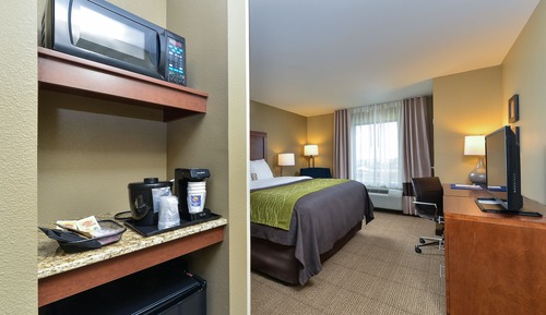 Standard Room, 1 King Bed, Non Smoking (No Pets Allowed)