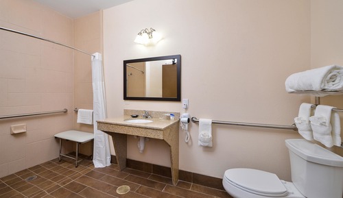 Room, 1 King Bed, Accessible, Non Smoking
