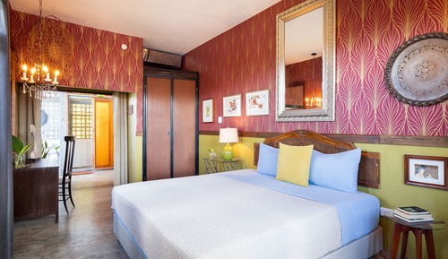 Premier Suite, 1 King Bed, Terrace, Garden View