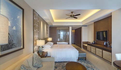 Accessible Room 