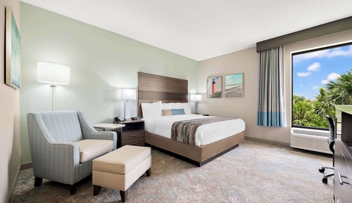 Standard Room, 1 King Bed, Non Smoking, Refrigerator