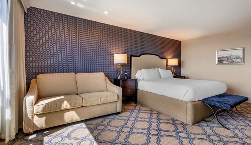 Standard Room, 1 King Bed, Accessible, Non Smoking (with Sofabed, View)