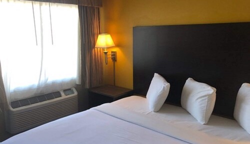 Room, 1 King Bed, Non Smoking (Walk-In Shower)