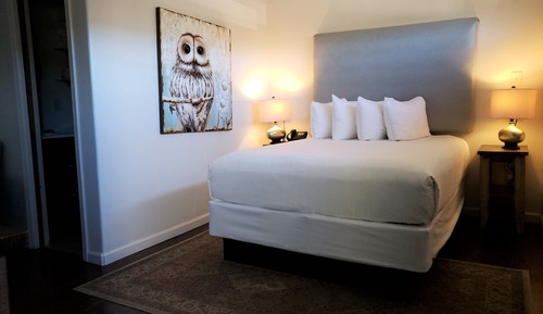 Room, 1 Queen Bed