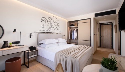 Deluxe Double or Twin Room