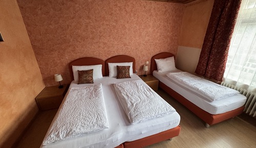 Economy Triple Room, Ensuite, City View