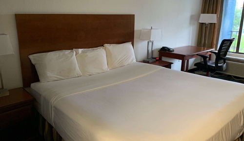Room, 1 King Bed, Accessible, Non Smoking (Roll-In Shower)
